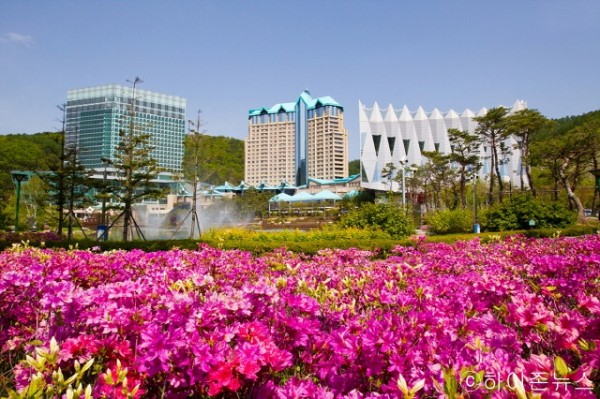 batch_[크기변환]하이원리조트 봄.jpg