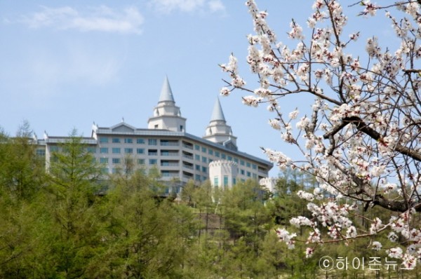 batch_[크기변환]하이원팰리스호텔 봄.JPG