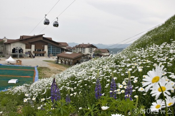 batch_[크기변환]관광곤돌라 봄 전경2.JPG