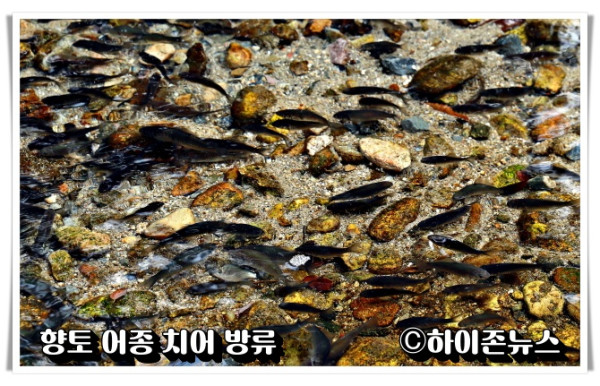 hi_re2022.10.6.향토어종 방류행사 (5).JPG