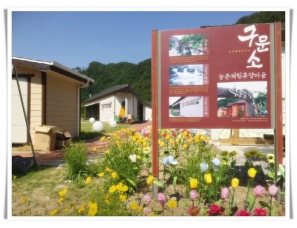 181818183. 태백 한달 살기 참가자 모집.jpg