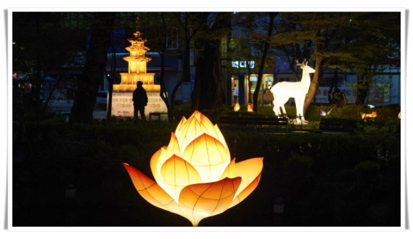 rehi2. 태백시, 불기 2569년 부처님 오신 날.jpg