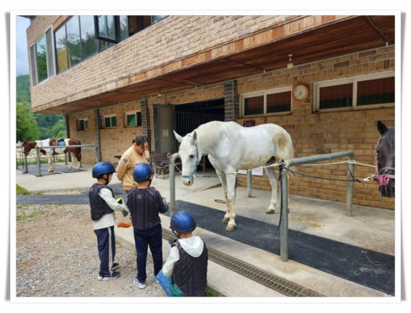 rehi2. 태백시, 2025년 학생승마 지원사업 참가자 모집.jpg