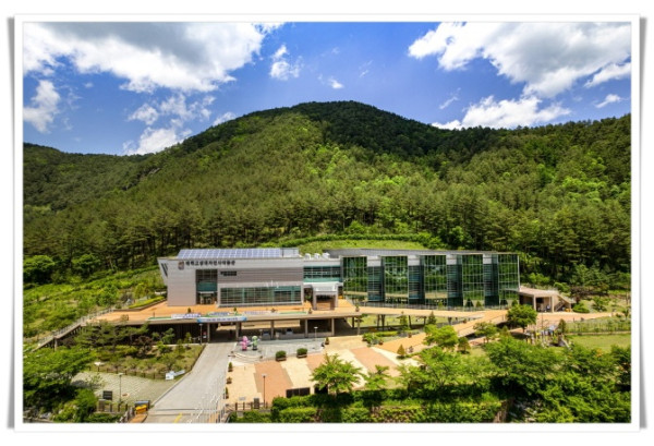 hi113. 크리스마스, 태백고생대자연사박물관에서 만나는 특별한 하루.JPG